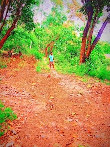 Bhanwapur