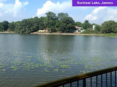 Surinsar Lake