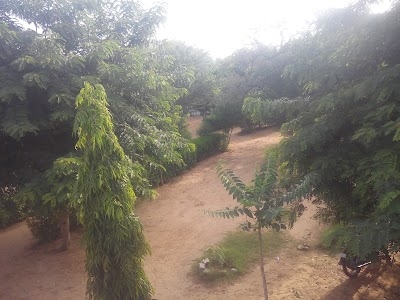 Govt School