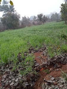 Himmatpur