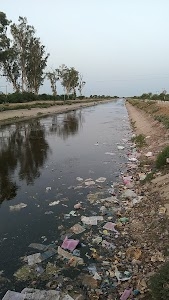 Sikroda