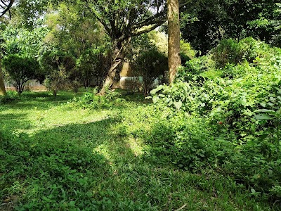 Kholta Eco Park