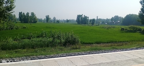 Nadigam