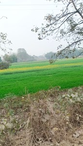 Kewani Bridge