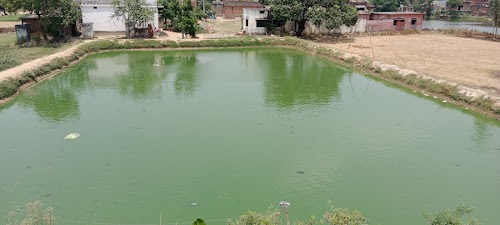 C.k fish farming