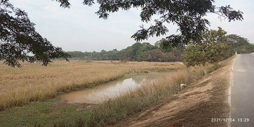 Sikarhati
