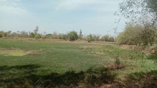 Varai