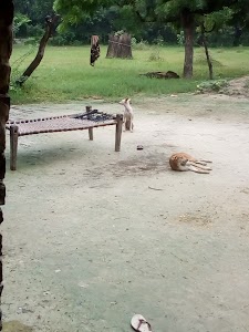 Gaddipur
