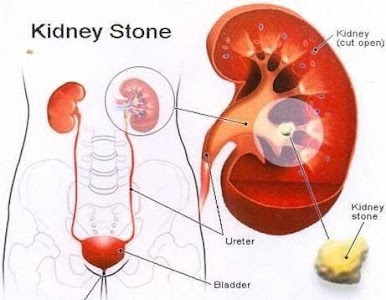 shri homeopathy