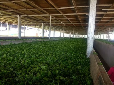Kharjan T.E Factory