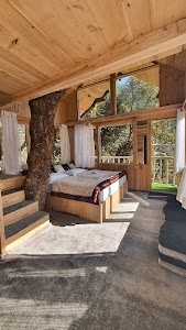 Little Wood Tree House