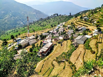 Kaproli