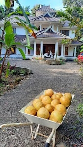 Mambra