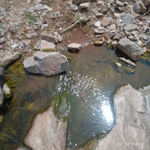Malutana