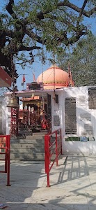 Sukul Bazaar