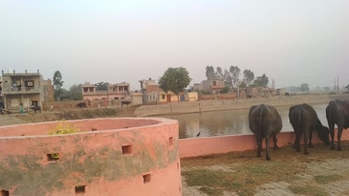 Julani Khera