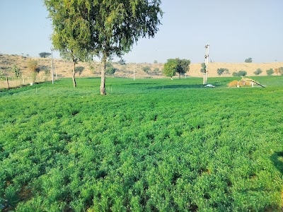 Agriculture and Farming