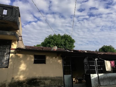 Vijalasan