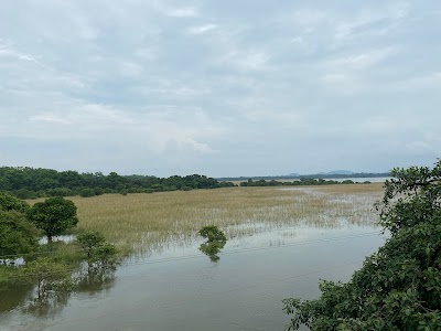 Pabitora wildlife sanctuary