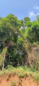 Selbalgre Maraka Gittim