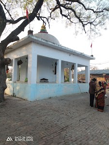 Gohana