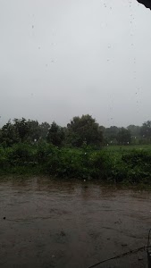 Rayavada