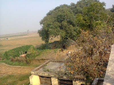 Nagpura