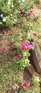 Randha Keyur home