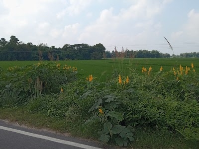 Hosenpur