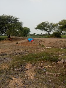 Borkhedi