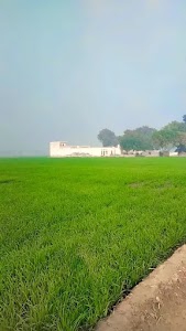 Kakar farm's house