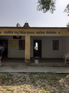 Piparia Bhaja