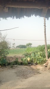Rohit Saloon