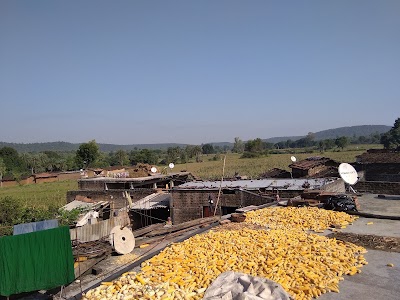Bhadauri
