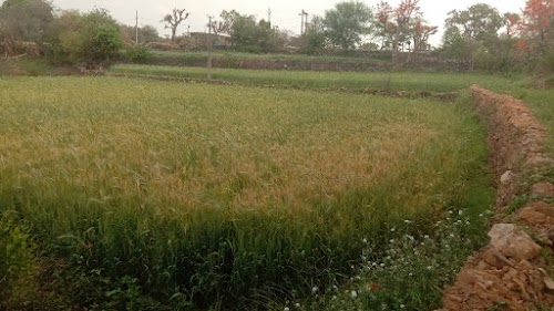 GULAB SINGH