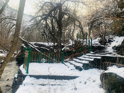 Dachigam