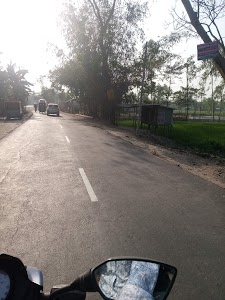 Polashi