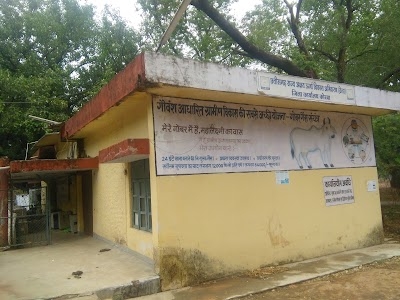 CREDA Office, Korba