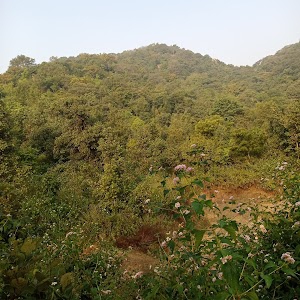 Ranitali