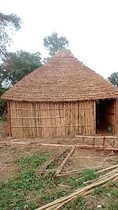 Shyama gau shala samiti