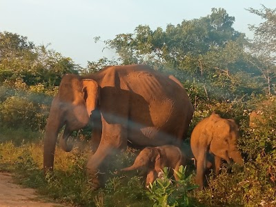 Udawalawa