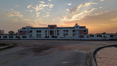 Delhi Public School, Nava Raipur