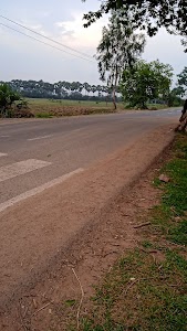 Chakandra mor