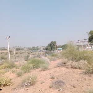 Mangle Ki Beri