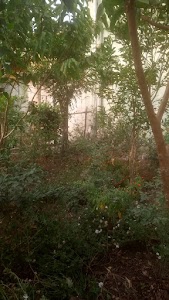 Eden Garden