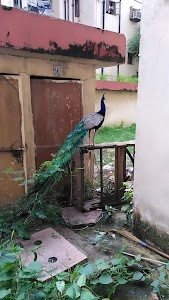 Press Colony, Mayapuri