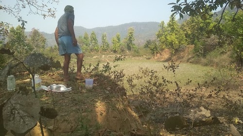 ठोङा बहरा