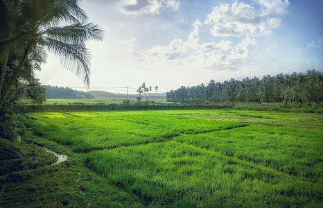 Manappuram