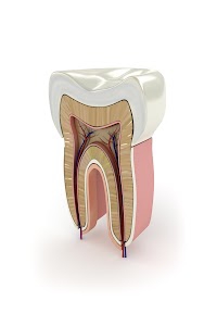 shri ram dental clinic