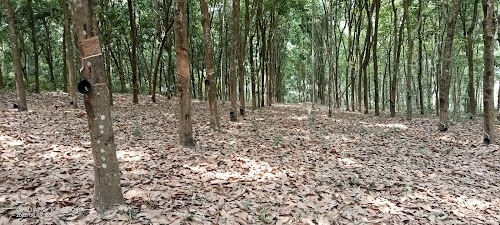 Ningsingkhun Road